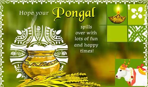 Happy Pongal Festival Images